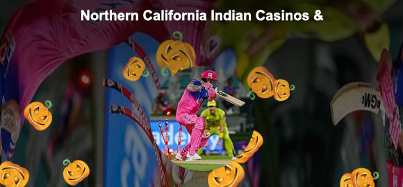 Zamsino free spins for Indian users